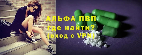 стаф Ельня