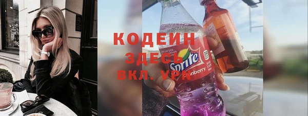 стаф Ельня