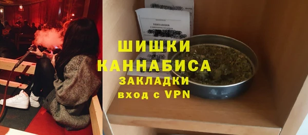 стаф Ельня