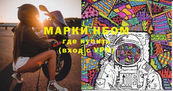 стаф Ельня