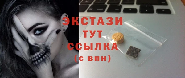 стаф Ельня