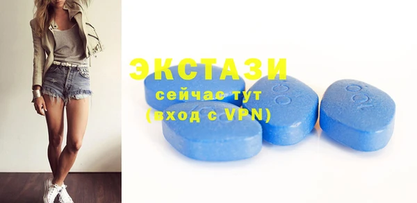 хмурый Дмитров