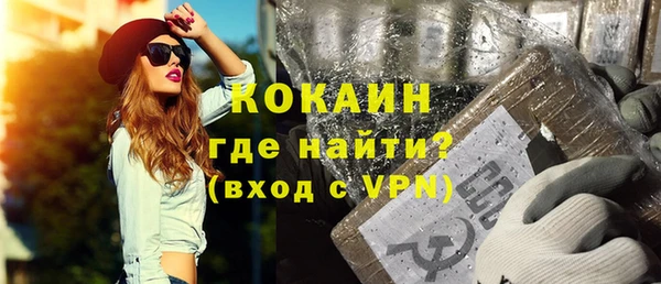 стаф Ельня