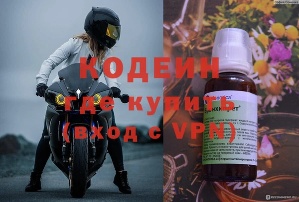 стаф Ельня
