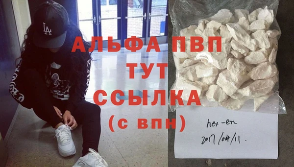 стаф Ельня