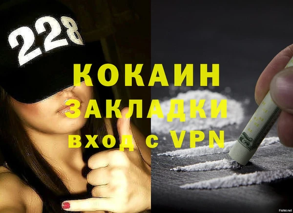 стаф Ельня