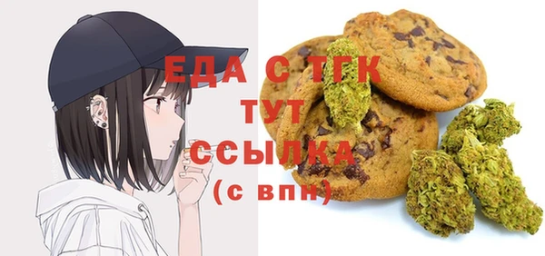стаф Ельня