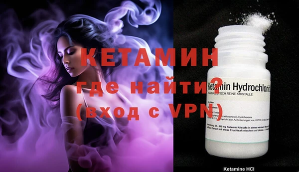 стаф Ельня